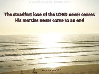 Lamentations 3:22 The Steadfast Love Of The Lord Never Fails (beige)